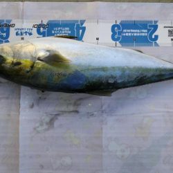 名田屋　はまちの飲ませづり